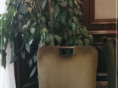 -子霖南山鲜虾面(南山总店)