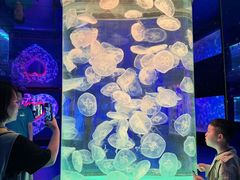 -左海海底世界