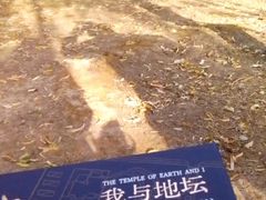 -太阳宫公园