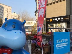 -盒马鲜生(双清路店)
