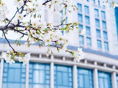 -公益图书馆(江南大学店)