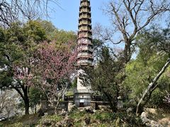 -西泠印社