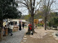 -HERRE·FARM 赫尔露营农场·团建聚会包场