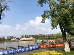 -上海长兴岛郊野公园