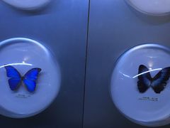 -吉林省自然博物馆