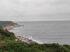 -广东惠东海龟国家级自然保护区