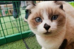 -萌宠亲子动物乐园(槐房万达店)