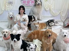 -汪说·狗咖·拼豆·宠物周边DIY(旺城大厦店)