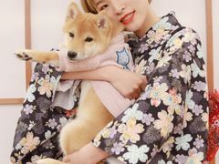 -豆柴町-柴犬主题狗咖(红鼎国际C座店)