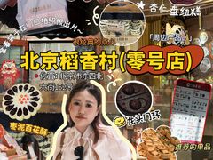 -北京稻香村(零号店)