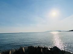 -八大关景区