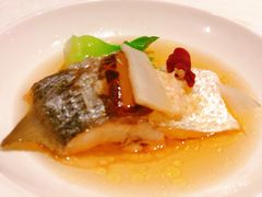 酒酿火腿蒸鲥鱼-Yan Ting 宴庭中餐厅(上海静安瑞吉酒店)