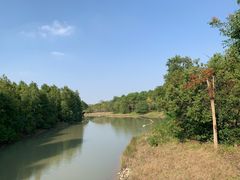 -上海海湾国家森林公园