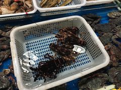 -旺角小渔村·海肠捞饭开创者(环山路店)