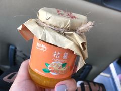 -前小桔亲子创意农场·草莓采摘·露营烧烤