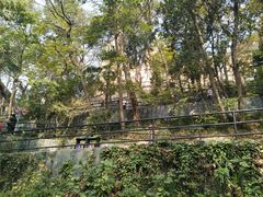 -上海佘山国家森林公园西佘山园