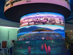 -金钉子远古世界景区