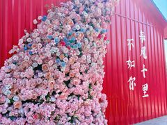 -北陵公园