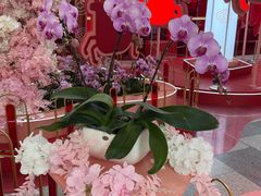-武汉荟聚