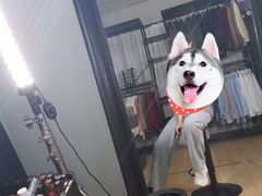 -红像馆精致肖像证件照(亦庄店)