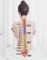 点击看大图 -王妃SPA·美容·科技抗衰