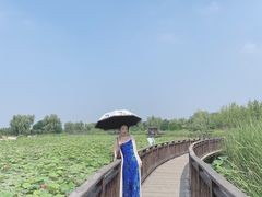 -羊亭河湿地公园