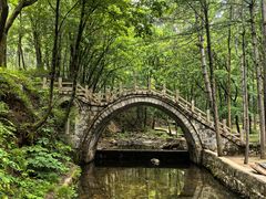 -洛阳白云山景区
