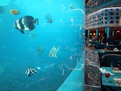 -瑞德姆美人鱼海底演艺主题餐厅(亚龙湾店)
