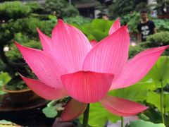-成都杜甫草堂博物馆