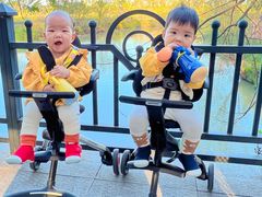 -合肥滨湖国家森林公园