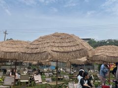 -桃源山庄·水蜜桃采摘·柴火鸡·烧烤团建(龙泉山店)