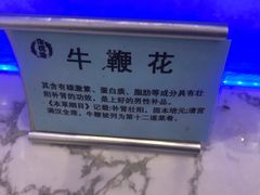 -澜悦港海鲜体验主题餐厅