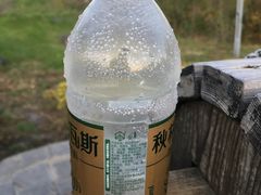 -北药泉