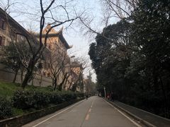 -武汉大学-樱园