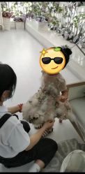 点击看大图 -同远QQBABY亲子摄影(北京路店)