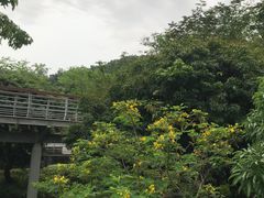 -立新湖公园