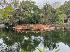 -广州动物园