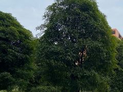 -广西建设职业技术学院(相思湖校区)