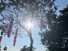 -广州市白云山风景名胜区