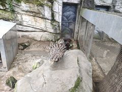 -黔灵山公园