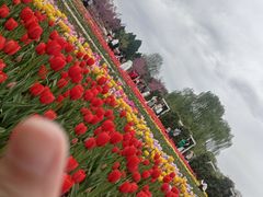 -石家庄市植物园