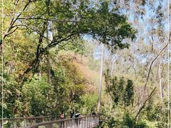 -广州市白云山风景名胜区
