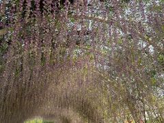 -同里国家湿地公园