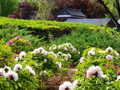 -莲花池公园