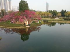 -映月湖公园