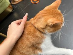 -简象咖啡CAFE ELE JANE(满陇桂雨店)