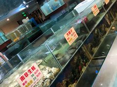 水产区-金龙渔港(双楠店)