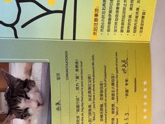 -艾贝尔宠物医院·24H转诊中心·肿瘤猫专科(江宁双龙店)