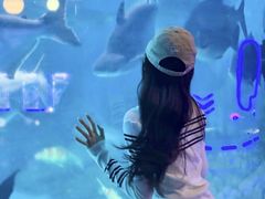 -烟台海昌鲸鲨海洋公园