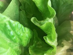 -越城记黑鱼煲(福侨大厦店)